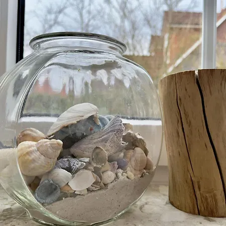 Dom wakacyjny Caro Hus - *